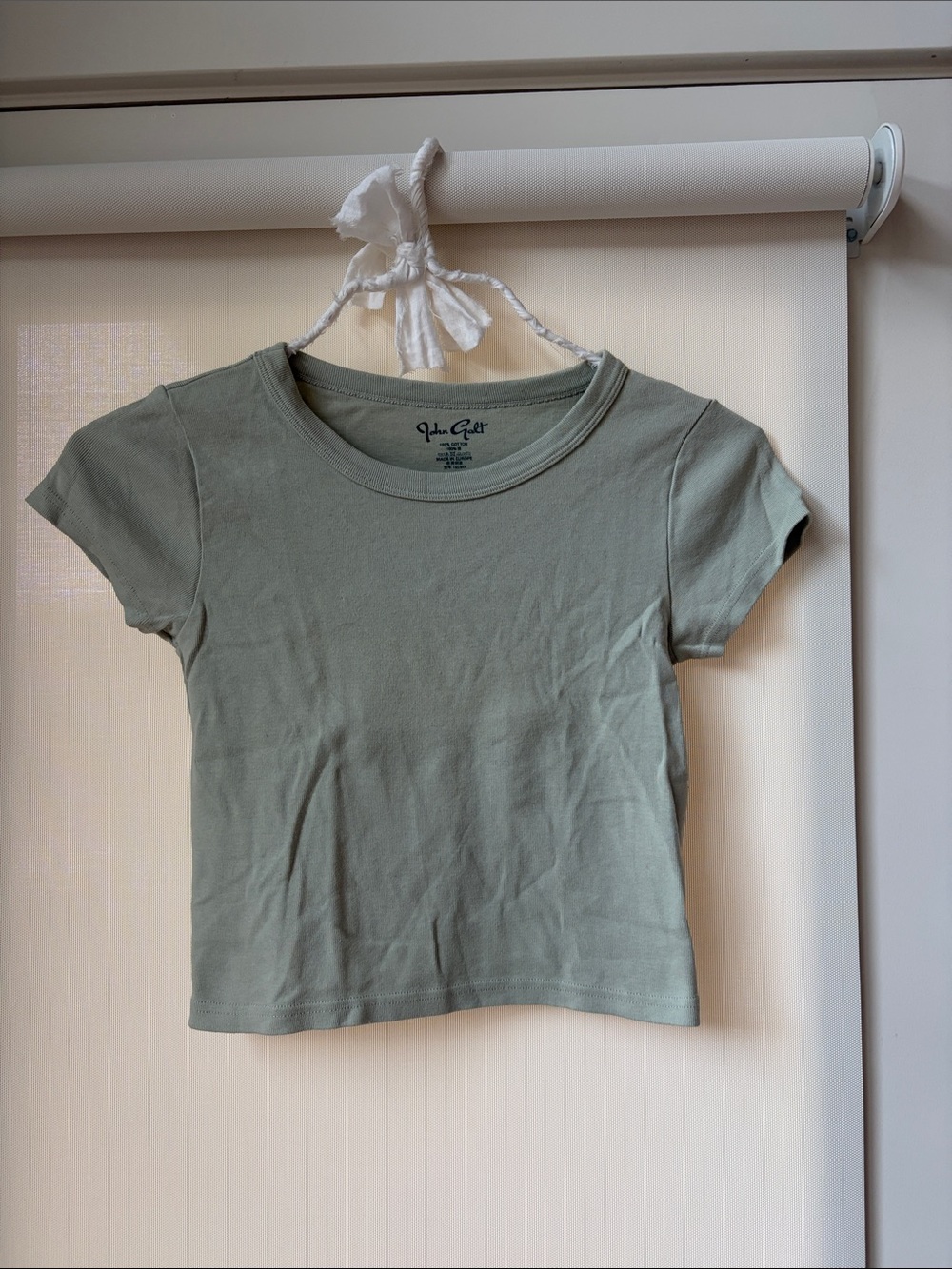 Brandy Melville Sage Green Short Sleeve Crop Tee